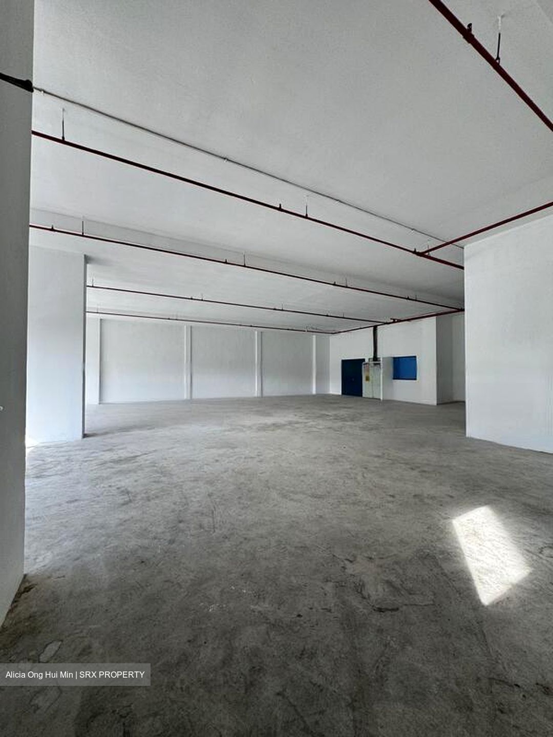 Loyang Industrial Estate (D17), Factory #497047351